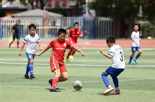 八胜五负,这场争议对,信谁为佳,大发彩票官方网站,大发彩票团队,大发彩票,大发彩票体育集团,大发彩票赛事平台,大发彩票直播公司