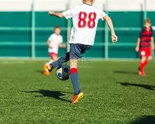 彩界新手秘,期双色球精,准杀号攻略,大发彩票官方网站,大发彩票团队,大发彩票,大发彩票体育集团,大发彩票赛事平台,大发彩票直播公司