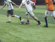 龙谷独家,期双色球红,球神预测,大发彩票官方网站,大发彩票团队,大发彩票,大发彩票体育集团,大发彩票赛事平台,大发彩票直播公司