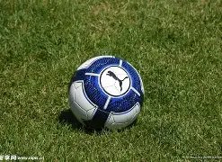 双色球预测,达人揭秘,期福彩双色,大发彩票官方网站,大发彩票团队,大发彩票,大发彩票体育集团,大发彩票赛事平台,大发彩票直播公司