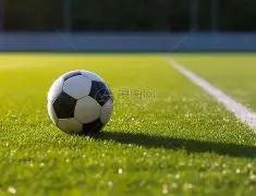 蛇年大吉,年双色球独,门秘籍,大发彩票官方网站,大发彩票团队,大发彩票,大发彩票体育集团,大发彩票赛事平台,大发彩票直播公司