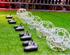 揭秘,双色球,期精准蓝球,大发彩票官方网站,大发彩票团队,大发彩票,大发彩票体育集团,大发彩票赛事平台,大发彩票直播公司