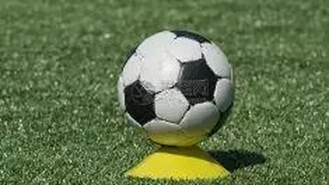 大发彩票 资讯 172059 ywd