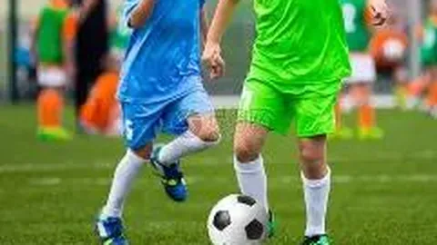 【双色球2026011期】独家揭秘：一招定蓝，巧用奇招，轻松斩获大奖！🌟🎰🏆