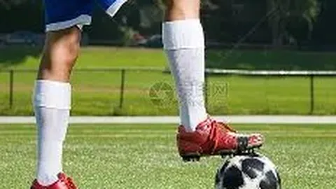 【独家秘技】福彩3D第2026041期精准四码攻略，一击必中大奖等你来！