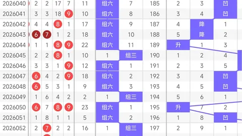 大乐透2026024期专家公良玉宸质合分析推荐